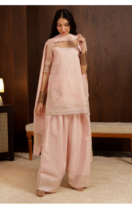 Light Pink Outfit